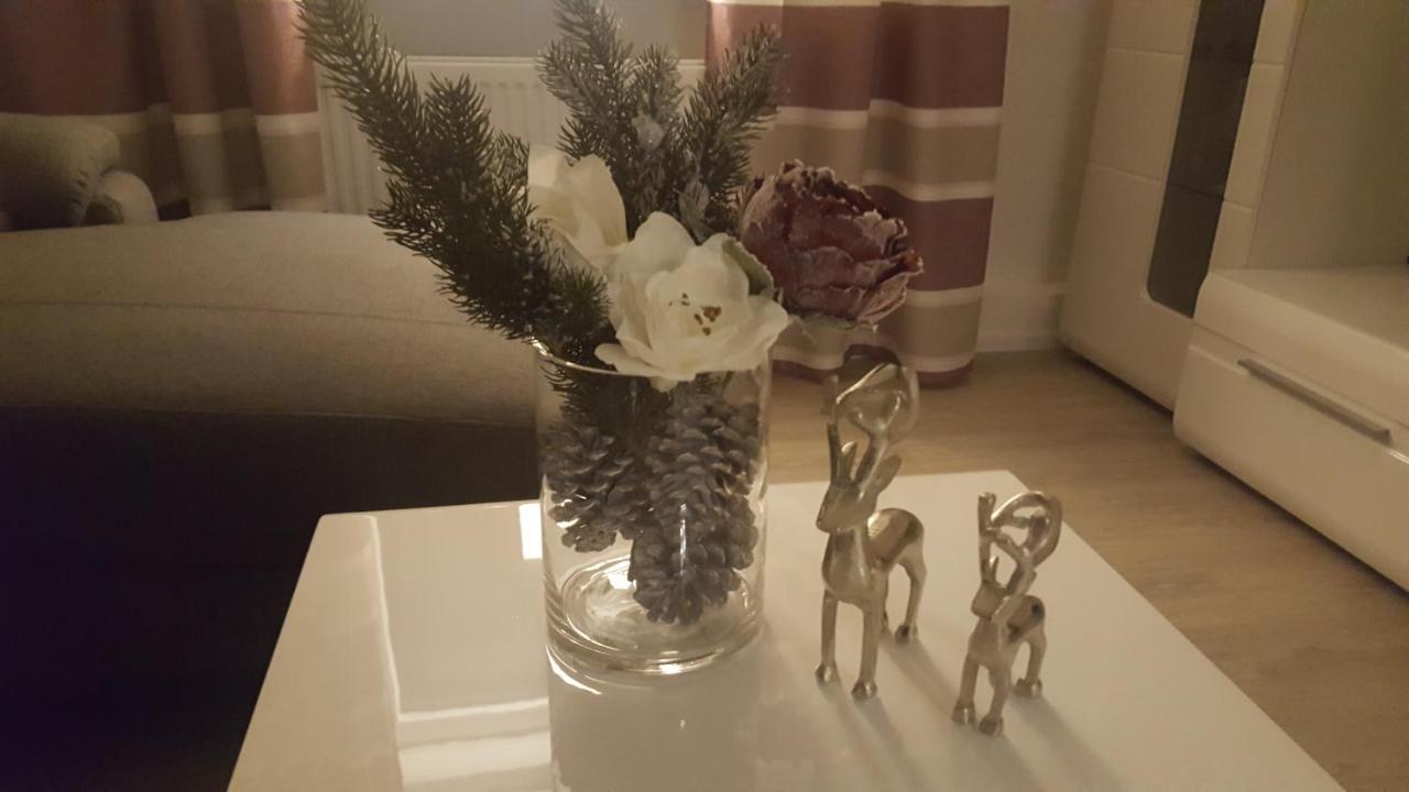 גוסלר Ferienwohnung Haus Zeier מראה חיצוני תמונה
